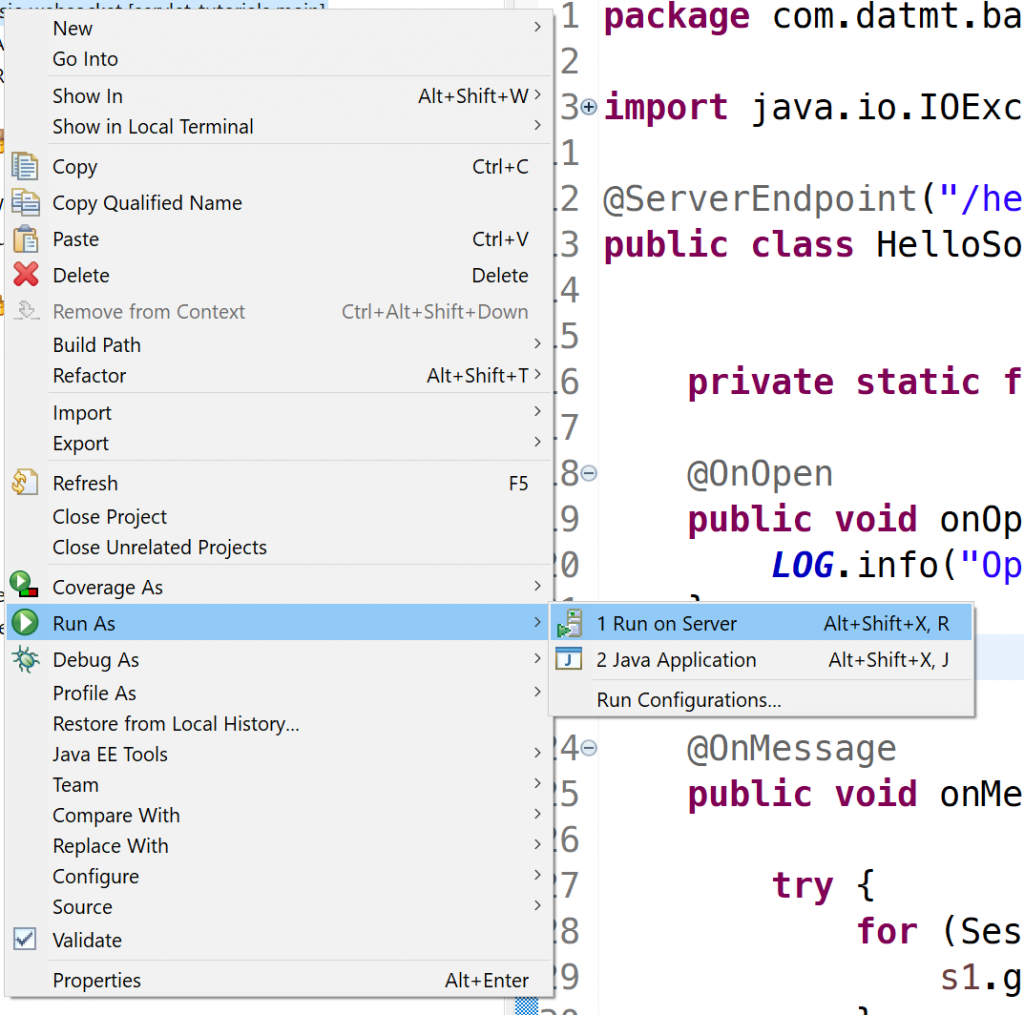 Run the websocket server on eclipse