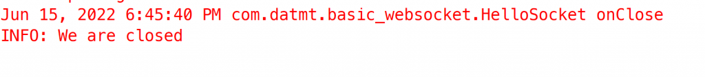 Close websocket connection