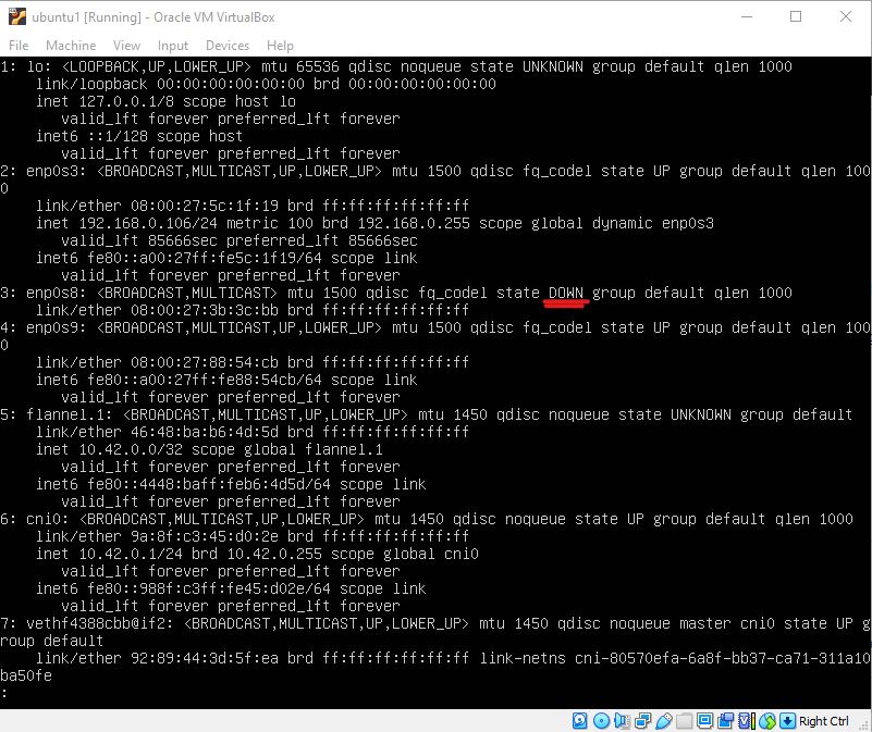 Host only network down by default