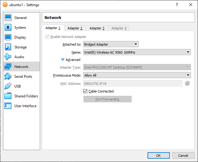 Enable the bridge network for internet connection