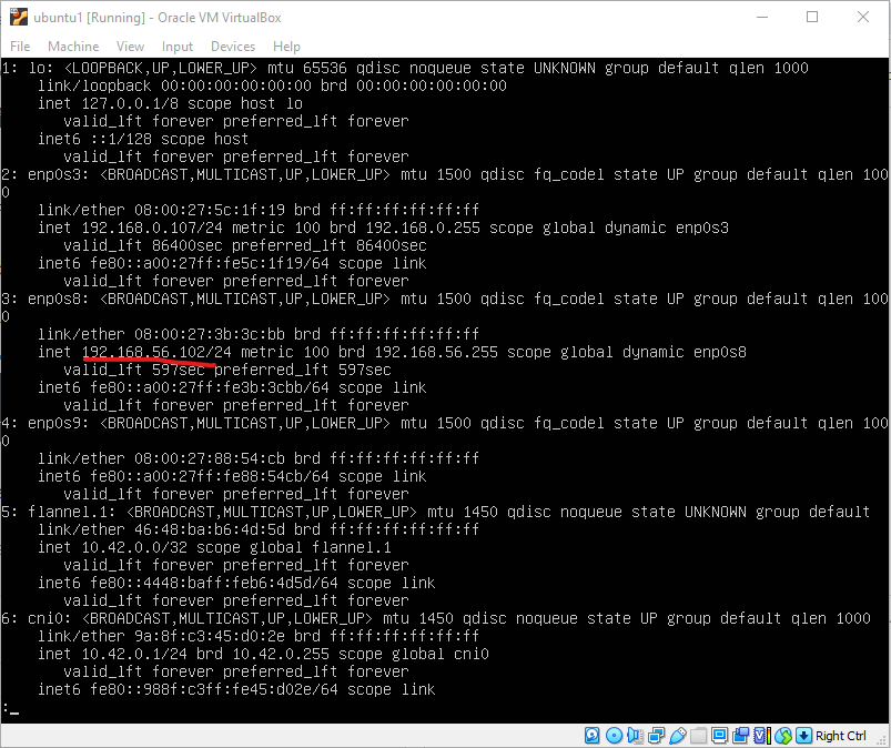 ipv4 enabled for host only network