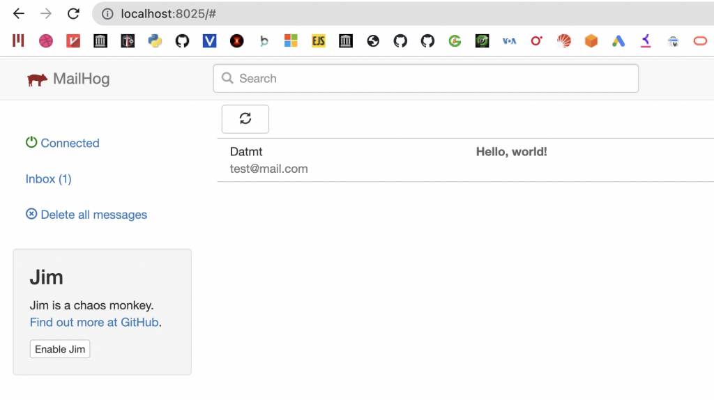 Mail sent to MailHog
