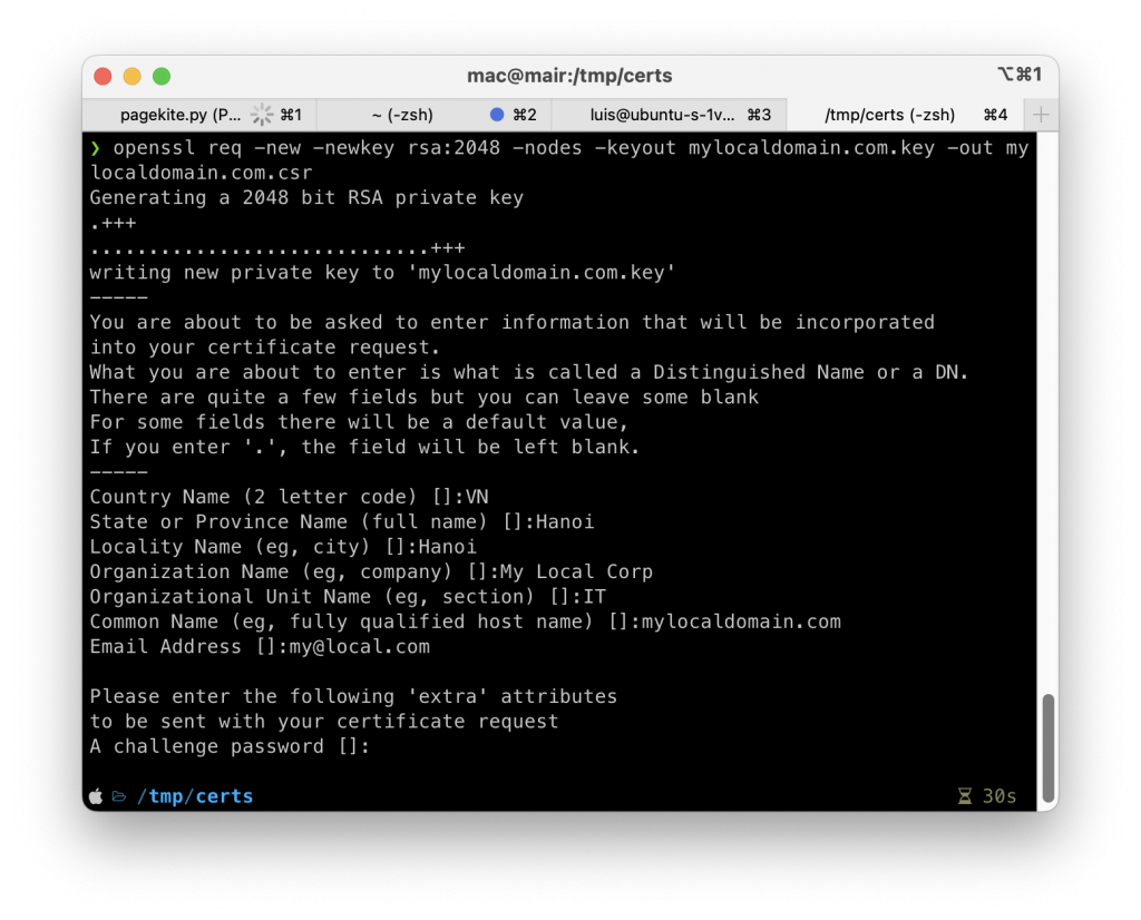 Generate a private key and CSR for your domain