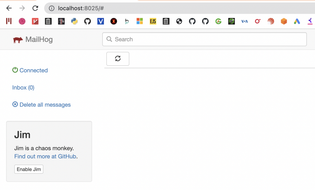 MailHog webmail client