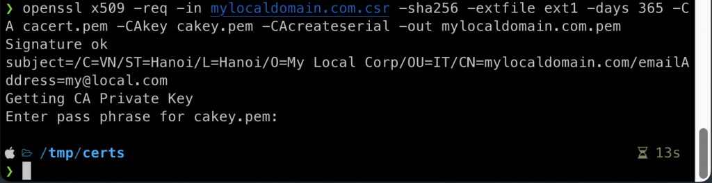 Generate SSL certificate for the domain