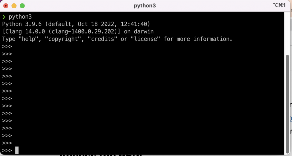 Access Python REPL