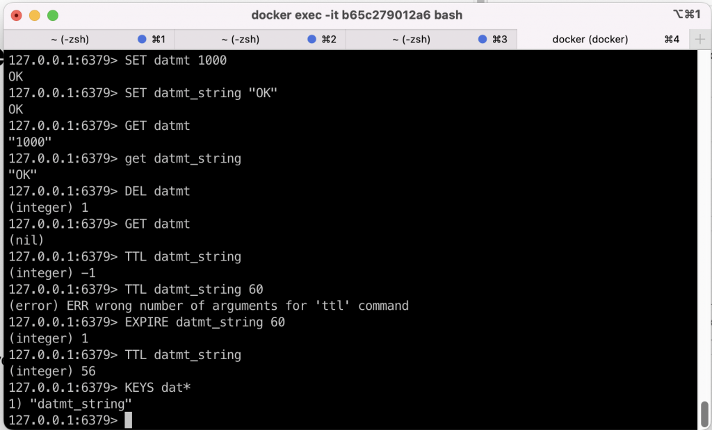 Basic Redis Keys commands