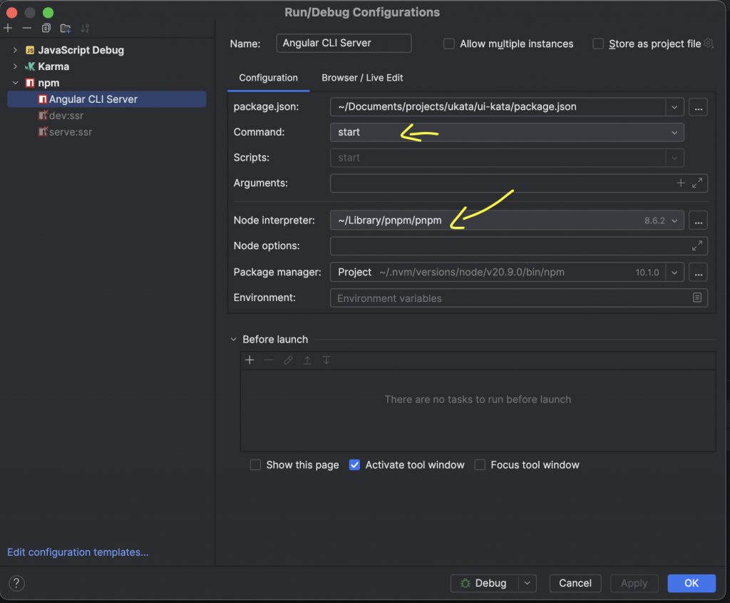 configure pnpm for angular project